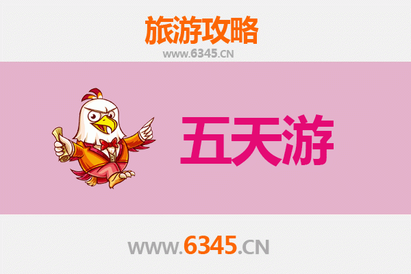益阳桃江五天四夜深度游攻略：竹海茶香与资水风情全体验