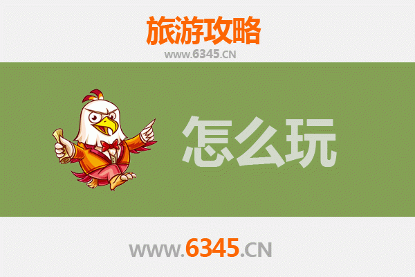 节假日畅游益阳桃江：竹海茶香与民俗风情的完美之旅